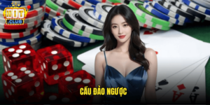 Cầu Đảo Ngược